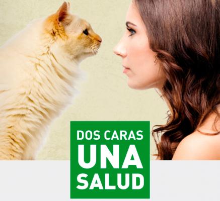 quotdos caras una salud lo que le ocurra a eacutel te afecta a tiquot la nueva campantildea de los colegios veterinarios andaluces quotdos caras una salud lo que le ocurra a eacutel te afecta a tiquot la nueva campantildea de los colegios veterinarios andaluces