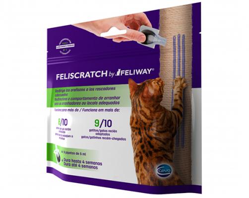 ceva salud animal lanza el innovador feliscratch by feliway ceva salud animal lanza el innovador feliscratch by feliway