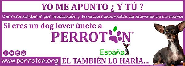 cinesa se une a asociacioacuten perrotoacuten para luchar contra el abandono de perros cinesa se une a asociacioacuten perrotoacuten para luchar contra el abandono de perros
