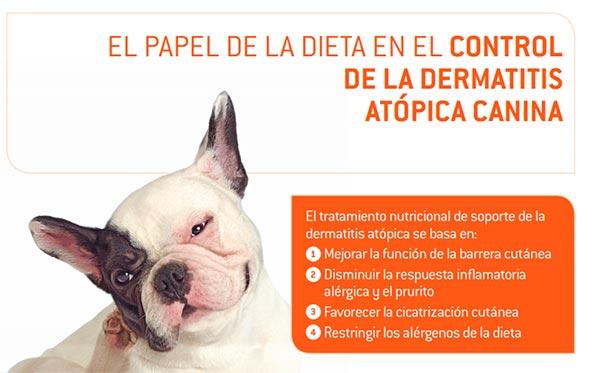las claves de la demodex canis o demodicosis canina las claves de la demodex canis o demodicosis canina