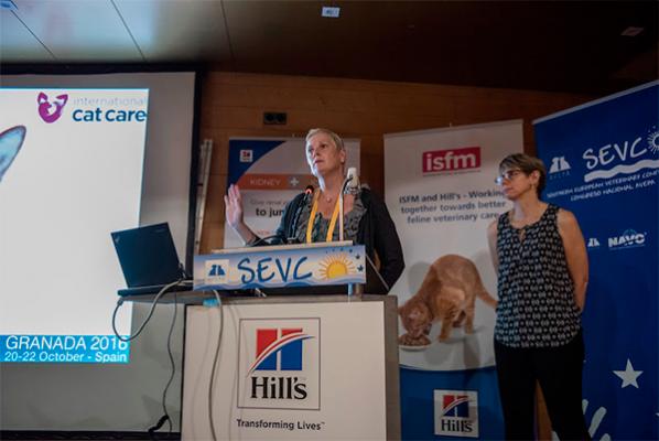 las claves del simposio de medicina felina de isfm gemfe y hillacutes pet nutrition durante el congreso avepasevc las claves del simposio de medicina felina de isfm gemfe y hillacutes pet nutrition durante el congreso avepasevc