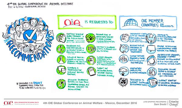 la iv conferencia mundial de la oie pone en el foco en la nueva estrategia mundial del bienestar animal la iv conferencia mundial de la oie pone en el foco en la nueva estrategia mundial del bienestar animal