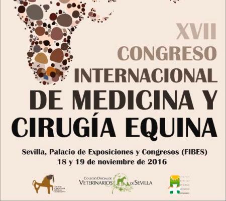 el congreso internacional de medicina y cirugiacutea equina pondraacute el foco en la rehabilitacioacuten del caballo deportivo el congreso internacional de medicina y cirugiacutea equina pondraacute el foco en la rehabilitacioacuten del caballo deportivo