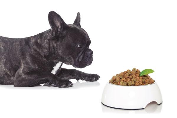 crece la categoriacutea natural de alimentos para mascotas crece la categoriacutea natural de alimentos para mascotas