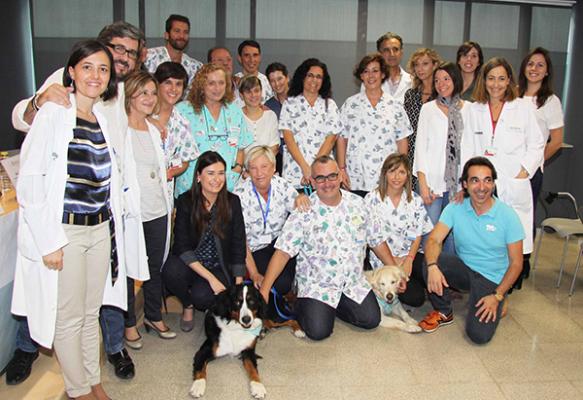 eacutexito de la fase piloto del proyecto de voluntariado con perros de asistencia en oncologiacutea pediaacutetrica de la fe eacutexito de la fase piloto del proyecto de voluntariado con perros de asistencia en oncologiacutea pediaacutetrica de la fe