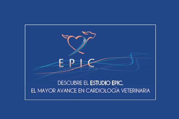los beneficios de tratar con pimobendaacuten a los perros con degeneracioacuten mitral en fase precliacutenica o asintomaacutetica los beneficios de tratar con pimobendaacuten a los perros con degeneracioacuten mitral en fase precliacutenica o asintomaacutetica