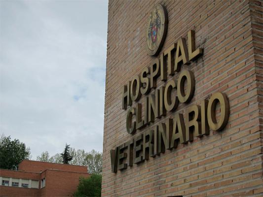 los estudios de veterinaria de la universidad complutense de madrid en el top 50 mundial los estudios de veterinaria de la universidad complutense de madrid en el top 50 mundial