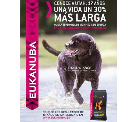 eukanuba la prueba de una larga vida eukanuba la prueba de una larga vida