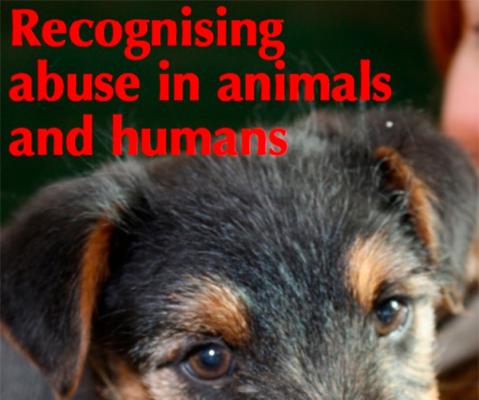 existen interrelaciones entre el abuso de nintildeos adultos y animales vulnerables existen interrelaciones entre el abuso de nintildeos adultos y animales vulnerables