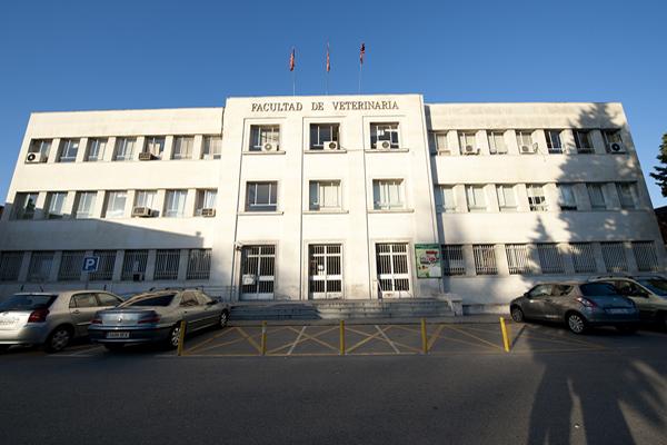 las facultades de veterinaria de la uab y la complutense entre las mejores del mundo las facultades de veterinaria de la uab y la complutense entre las mejores del mundo