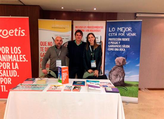 gemfe celebra la vi edicioacuten de su congreso de medicina felina con el apoyo de zoetis gemfe celebra la vi edicioacuten de su congreso de medicina felina con el apoyo de zoetis