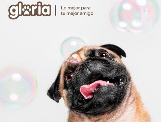 gloria estaraacute presente en la feria internacional zoomark 2017 gloria estaraacute presente en la feria internacional zoomark 2017