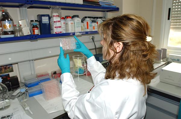 el gobierno aprueba un rd para regular la venta online de faacutermacos veterinarios no sujetos a prescripcioacuten obligatoria el gobierno aprueba un rd para regular la venta online de faacutermacos veterinarios no sujetos a prescripcioacuten obligatoria