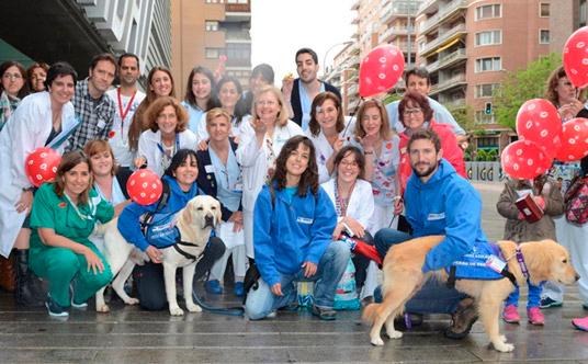 el gregorio marantildeoacuten utilizaraacute perros en terapias con nintildeosnbsp el gregorio marantildeoacuten utilizaraacute perros en terapias con nintildeosnbsp