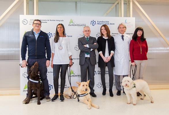 el hospital teresa herrera de a coruntildea apuesta por terapias asistidas con perros para nintildeos el hospital teresa herrera de a coruntildea apuesta por terapias asistidas con perros para nintildeos