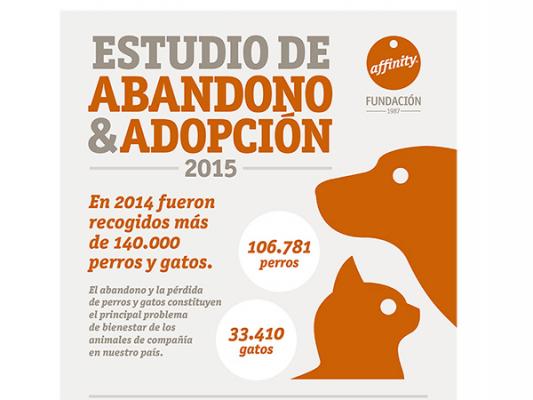 infografiacutea abandonoadopcioacuten affinity infografiacutea abandonoadopcioacuten affinity