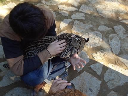infozoos recoge firmas para pedir el cierre del zoo de castellar en caacutediz infozoos recoge firmas para pedir el cierre del zoo de castellar en caacutediz