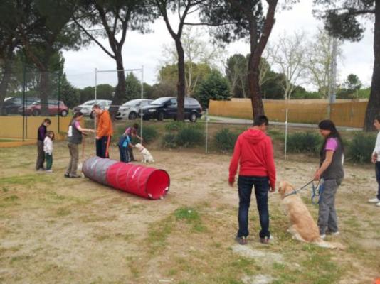 40 joacutevenes con discapacidad reciben terapia asistida por animales gracias anbspla fundacioacuten deporte amp desafiacuteo 40 joacutevenes con discapacidad reciben terapia asistida por animales gracias anbspla fundacioacuten deporte amp desafiacuteo