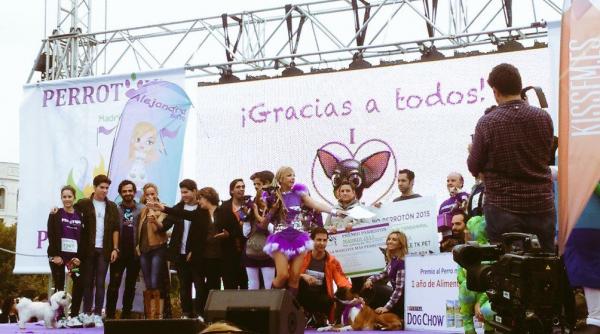 maacutes de 3000 perros y sus familias corren por el centro de madrid en la 4ordf edicioacuten de perrotoacuten maacutes de 3000 perros y sus familias corren por el centro de madrid en la 4ordf edicioacuten de perrotoacuten
