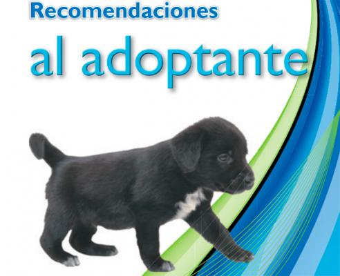 madrid salud y covm editan una serie de guiacuteas con recomendaciones para los adoptantes de mascotas madrid salud y covm editan una serie de guiacuteas con recomendaciones para los adoptantes de mascotas