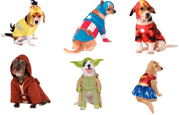 las mascotas tambieacuten se disfrazan en carnaval las mascotas tambieacuten se disfrazan en carnaval
