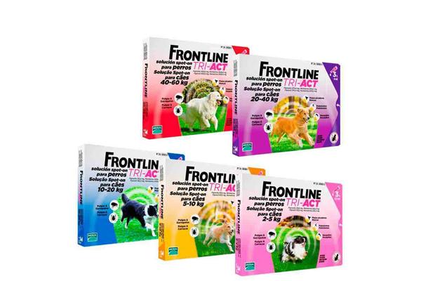 frontline triact amplio espectro de proteccioacuten frente a ectoparaacutesitos vectores de enfermedad frontline triact amplio espectro de proteccioacuten frente a ectoparaacutesitos vectores de enfermedad