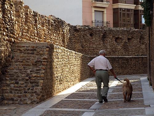 nuestro ritmo cardiaco quotse sincronizaquot con el de nuestro perro nuestro ritmo cardiaco quotse sincronizaquot con el de nuestro perro