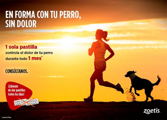 nueva campantildea i