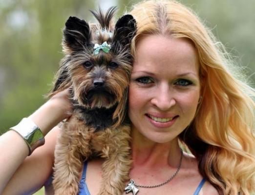nueva york permitiraacute que mascotas y duentildeos queden enterrados en el mismo cementerio nueva york permitiraacute que mascotas y duentildeos queden enterrados en el mismo cementerio
