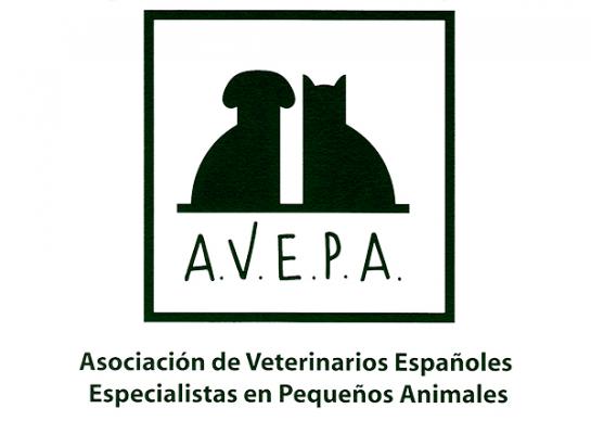 nuevo webinar hillacutesavepa sobre quotcomorbilidades asociadas a la obesidad en perros y gatosquot nuevo webinar hillacutesavepa sobre quotcomorbilidades asociadas a la obesidad en perros y gatosquot