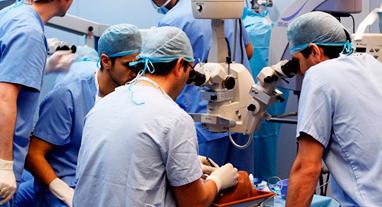 ivo ofrece cursos praacutecticos de microcirugiacutea ocular veterinaria ivo ofrece cursos praacutecticos de microcirugiacutea ocular veterinaria