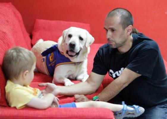 los perros de alerta meacutedica pueden detectar niveles bajos de concentracioacuten gluceacutemica en sangre los perros de alerta meacutedica pueden detectar niveles bajos de concentracioacuten gluceacutemica en sangre