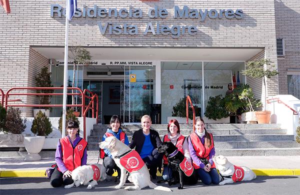 perros con fines terapeacuteuticos para los hospitales colegios y centros de mayores de madrid perros con fines terapeacuteuticos para los hospitales colegios y centros de mayores de madrid