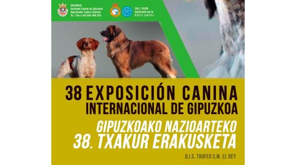 perros participaraac