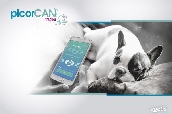 picorcan la nueva app de zoetis para el control del prurito canino picorcan la nueva app de zoetis para el control del prurito canino