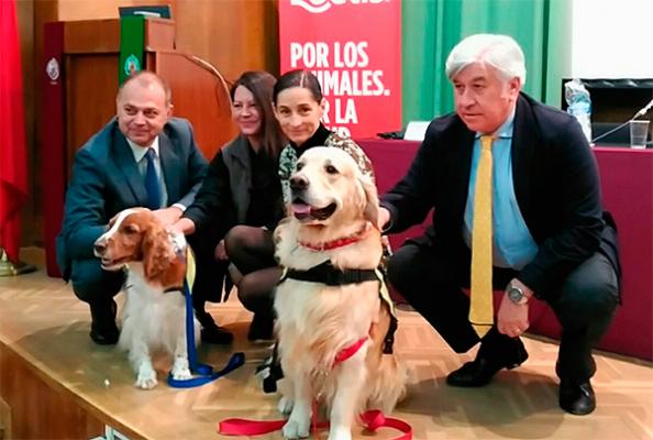 quoten las intervenciones asistidas con animales resulta primordial cuidar de su bienestarquot quoten las intervenciones asistidas con animales resulta primordial cuidar de su bienestarquot