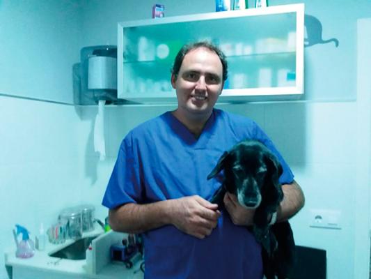 quotes necesario que pongamos en valor nuestra labor como profesionales sanitarios de las mascotasquot quotes necesario que pongamos en valor nuestra labor como profesionales sanitarios de las mascotasquot