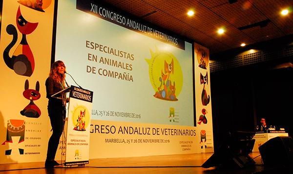 quotla medicina interna es crucial porque actuacutea como filtro de todos los casosquot quotla medicina interna es crucial porque actuacutea como filtro de todos los casosquot