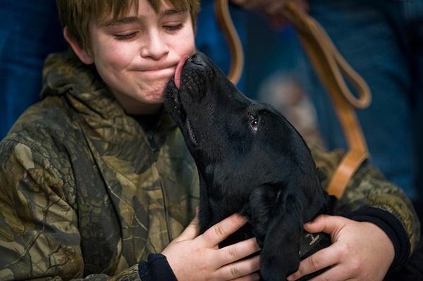 el quotproblemaquot de los lametones de los perros en la cara el quotproblemaquot de los lametones de los perros en la cara