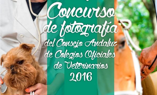 quotveterinarios en accioacutenquot tema del ii concurso de fotografiacutea del consejo andaluz de colegios oficiales de veterinarios 2016 quotveterinarios en accioacutenquot tema del ii concurso de fotografiacutea del consejo andaluz de colegios oficiales de veterinarios 2016