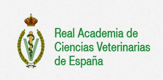 la racve organiza una mesa redonda sobre los retos de la investigacioacuten en ciencias veterinarias la racve organiza una mesa redonda sobre los retos de la investigacioacuten en ciencias veterinarias