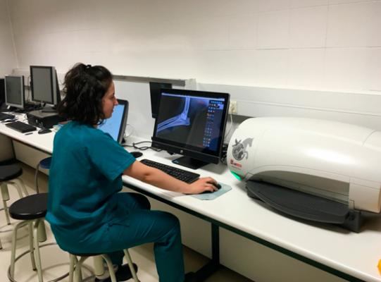 los rayos x el principal meacutetodo de diagnoacutestico en la atencioacuten veterinaria los rayos x el principal meacutetodo de diagnoacutestico en la atencioacuten veterinaria