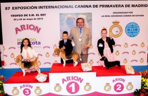 la real sociedad canina de espantildea con la 88 exposicioacuten internacional canina de primavera la real sociedad canina de espantildea con la 88 exposicioacuten internacional canina de primavera