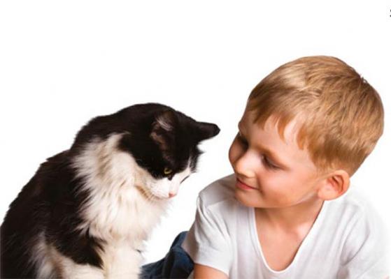 royal canin destaca los beneficios de la terapia asistida con animales en la vida de las personas con autismo royal canin destaca los beneficios de la terapia asistida con animales en la vida de las personas con autismo