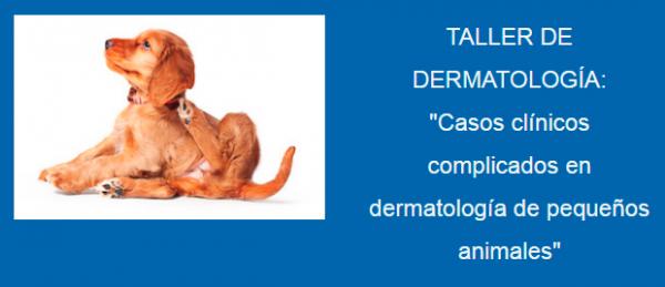 el sevc50 congreso avepa contaraacute con un taller sobre quotcasos cliacutenicos complicados en dermatologiacutea de pequentildeos animalesquot el sevc50 congreso avepa contaraacute con un taller sobre quotcasos cliacutenicos complicados en dermatologiacutea de pequentildeos animalesquot