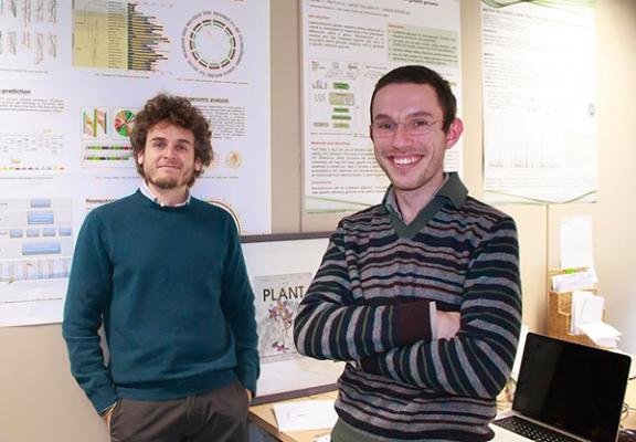 el software gaia ofrece metagenoacutemica comparativa en tiempo real para geneacutetica animal el software gaia ofrece metagenoacutemica comparativa en tiempo real para geneacutetica animal