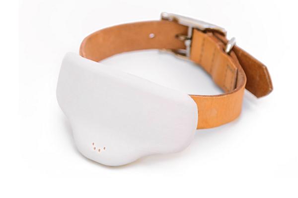 la startup gosi lanza un geolocalizador de mascotas con ultrasonidos que los cuida y los adiestra la startup gosi lanza un geolocalizador de mascotas con ultrasonidos que los cuida y los adiestra
