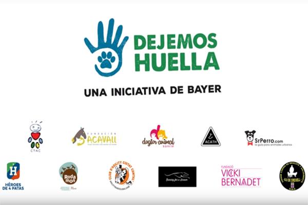 terapias asistidas con animales y wearables para mascotas las novedades de bayer en iberzoopropet terapias asistidas con animales y wearables para mascotas las novedades de bayer en iberzoopropet
