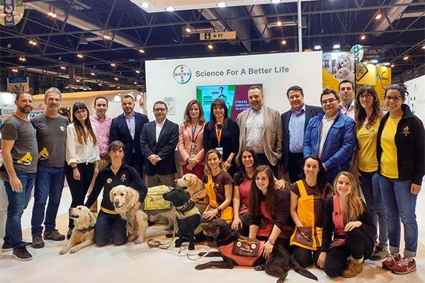 todas las novedades y las apuestas de bayer en propet todas las novedades y las apuestas de bayer en propet