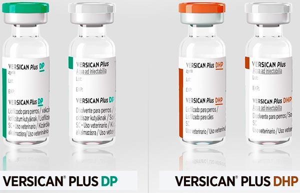 versican plus completa su gama con dos vacunas para el inicio del protocolo de vacunacioacuten en el cachorro versican plus completa su gama con dos vacunas para el inicio del protocolo de vacunacioacuten en el cachorro